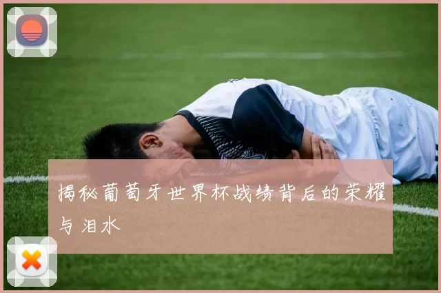 揭秘葡萄牙世界杯战绩背后的荣耀与泪水