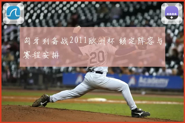 匈牙利备战2011欧洲杯 锁定阵容与赛程安排