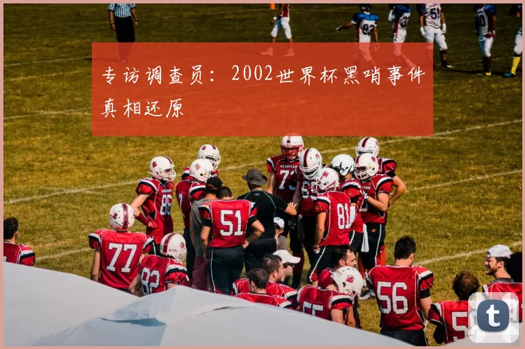 专访调查员:2002世界杯黑哨事件真相还原