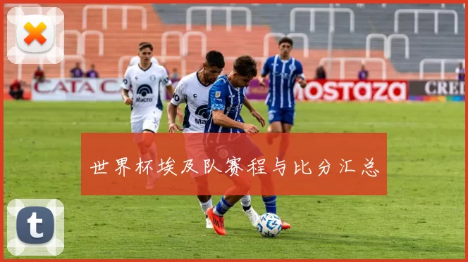 世界杯埃及队赛程与比分汇总