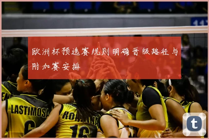 欧洲杯预选赛规则明确晋级路径与附加赛安排