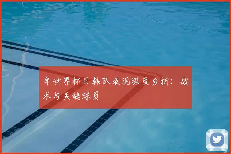 年世界杯日韩队表现深度分析：战术与关键球员