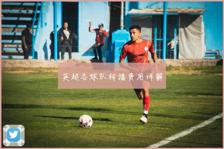 英超各球队转播费用详解