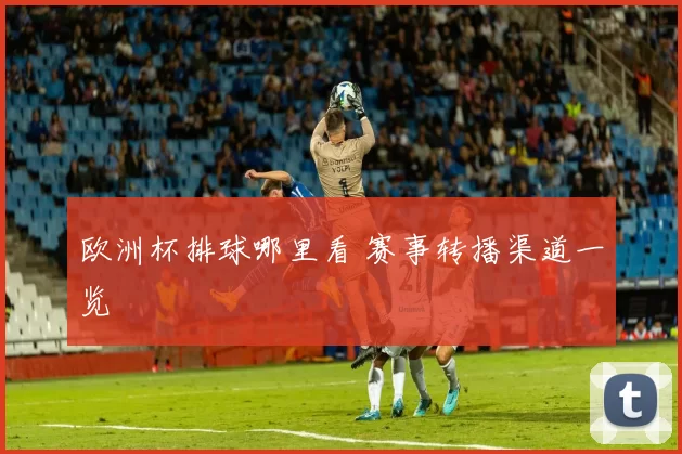 欧洲杯排球哪里看 赛事转播渠道一览