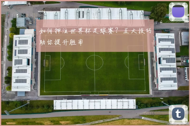 如何押注世界杯足球赛？五大技巧助你提升胜率