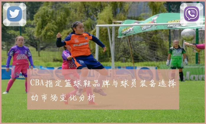 CBA指定篮球鞋品牌与球员装备选择的市场变化分析