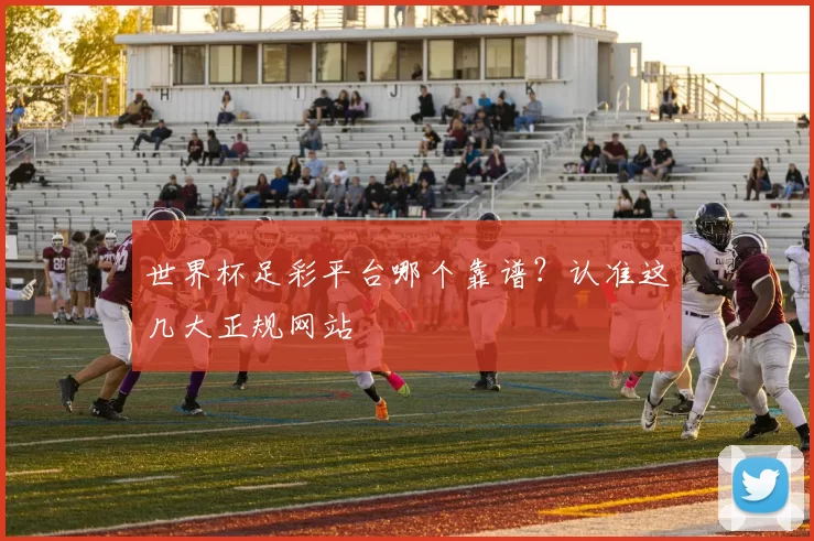 世界杯足彩平台哪个靠谱？认准这几大正规网站