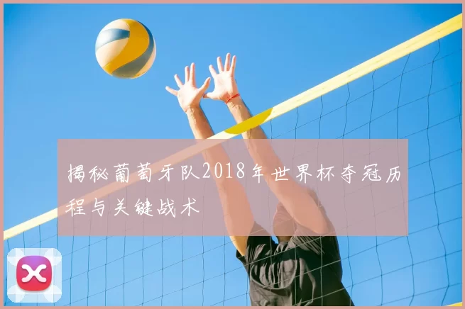 揭秘葡萄牙队2018年世界杯夺冠历程与关键战术