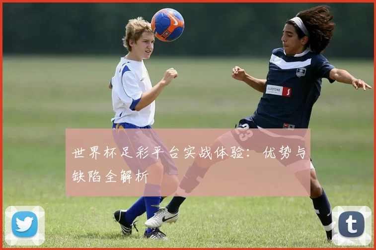 世界杯足彩平台实战体验：优势与缺陷全解析