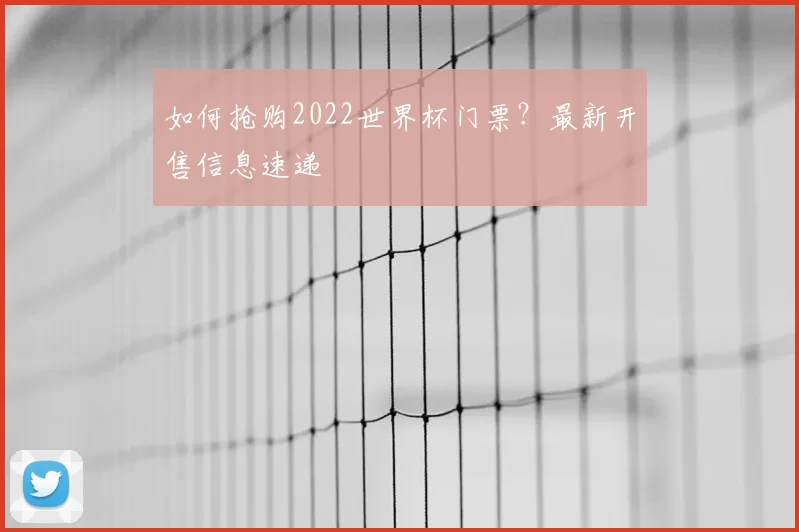 如何抢购2022世界杯门票？最新开售信息速递